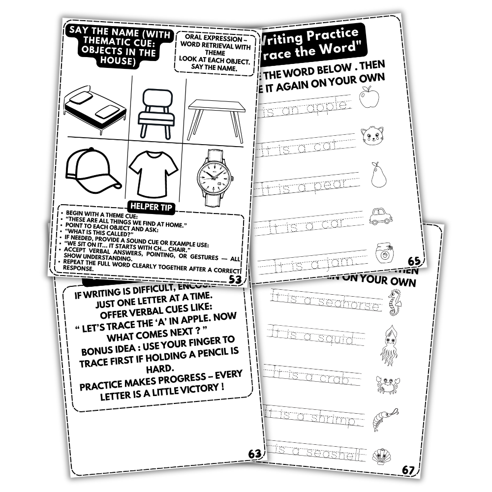 Aphasia Workbook for Adults (Printable PDF)